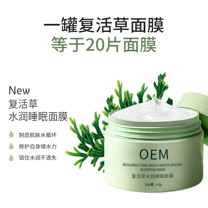 玉雪_复活草睡眠面膜OEM